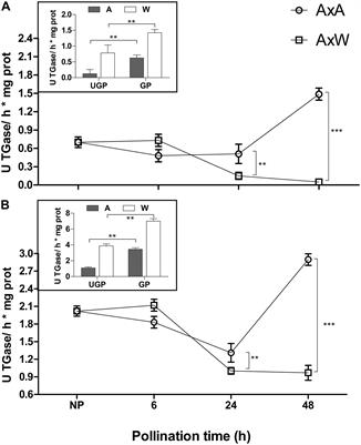 Compatible and Incompatible Pollen-Styles Interaction in Pyrus communis L. Show Different Transglutaminase Features, Polyamine Pattern and Metabolomics Profiles